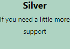 Support Plans_Silver.jpg